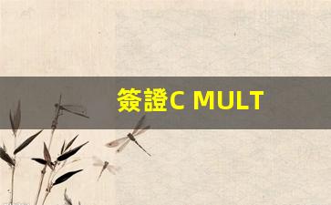 簽證C MULT(簽證線上申請(qǐng))